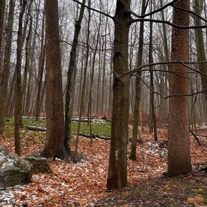 Meet your Posher, Auden